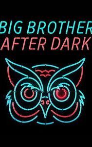 Big Brother After Dark