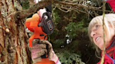 Shoppers say this mini chainsaw is 'perfect' for spring yard work — and it's on sale