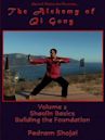 The Alchemy of Qi Gong Volume 3