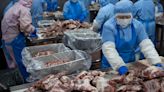 China apunta al sector porcino español y abre una investigación a la firma española Litera Mea