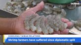 60% of Honduran Shrimp Farms Close After Break With Taipei - TaiwanPlus News
