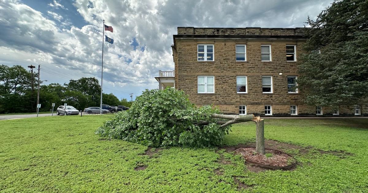 Osage Nation says police suspect vandalism after symbolic "Million Dollar Elm" tree was cut down