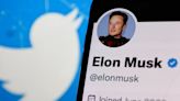 Twitter's rebrand is a step closer to Elon Musk's super-app vision – but losing the iconic bird logo is a risky move, Wedbush analyst Dan Ives says