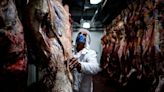 El consumo de carne cayó a su menor nivel en 110 años: cuáles son los productos sustitutos que ganan terreno