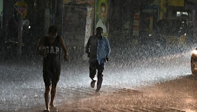 Heavy rain to lash Western Ghats areas in Tamil Nadu till July 18