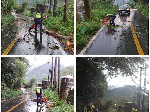 連日豪雨路樹倒塌阻礙交通 和平警以洪荒之力緊急排除 | 蕃新聞