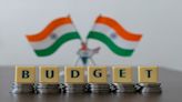 Union Budget 2024: What is a populist budget? Why it is strongly opposed - CNBC TV18