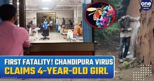 Gujarat's First Chandipura Virus Death Confirmed: 4-Year-Old Girl Succumbs as Outbreak Spreads