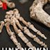 Unknown: Cave of Bones