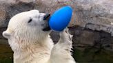 Polar bear dies in Canadian zoo