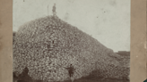 Fact Check: The Truth About Photo Allegedly Showing a Man Standing on Large Pile of Bison Skulls