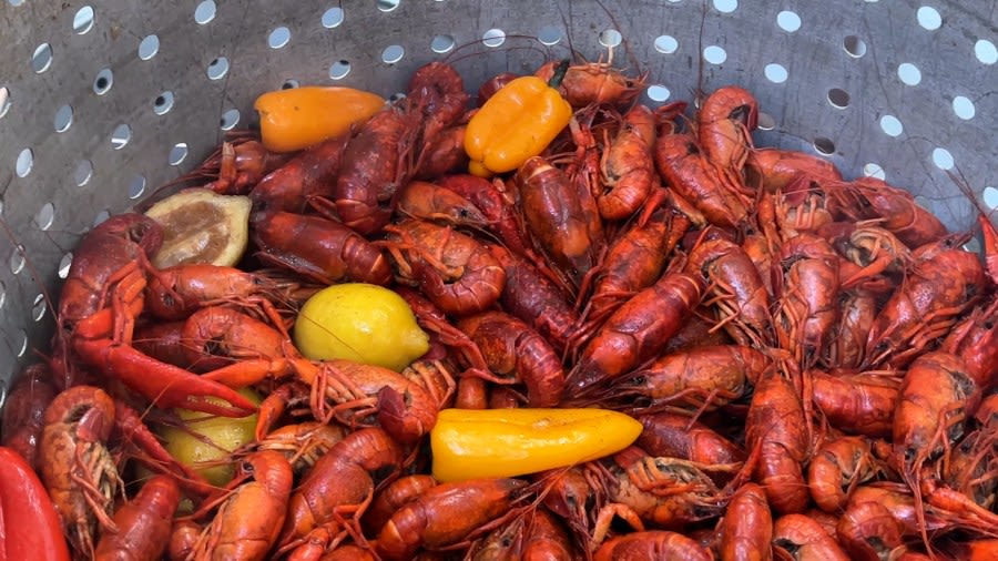 Season low: Prices for boiled, live crawfish in Louisiana are down week of Mother’s Day