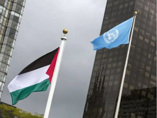 Bélgica reconocerá a Palestina en la ONU como miembro de pleno derecho