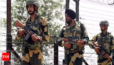 BSF troops nab Pakistani national in Punjab's Ferozepur - Times of India