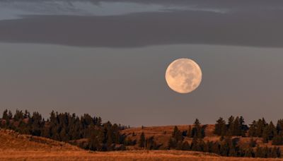 What September’s Full Moon—the Harvest Moon—Means for You