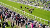 Super Saturday market movers | Value Bet tip Enfjaar slashed at York