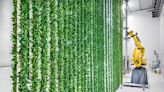 Inside a Vertical Warehouse Farm Hiding in Plain Sight