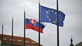 Why is Slovakia among Europe's most politically polarised countries?
