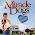 Miracle Dogs