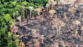 Critican políticas ambientales en América Latina; desastres naturales en potencia