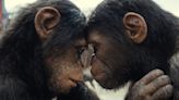 ‘Kingdom of the Planet of the Apes’ Swings to Top Spot Debut at U.K., Ireland Box Office