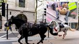 Spooked Household Cavalry horses bolt through central London injuring soldiers and public