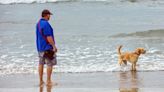 Mientras paseaba a su perro en la playa halló unos pozos insólitos y descubrió algo inesperado