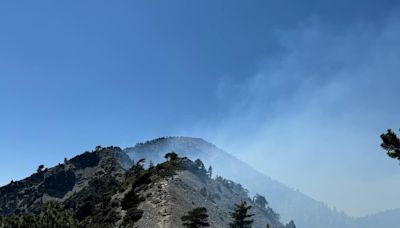 Vista Fire containment increased to 31%