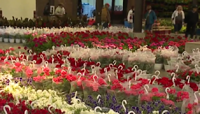 Huge crowds expected for Eastern Market's annual Flower Day celebration