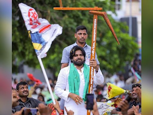 'Power Star' Pawan Kalyan's Party Won Every Seat They Contested On In 2024