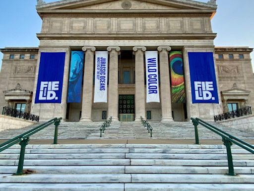 Chicago free museum days: Full list of free museum days for September