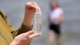 Madison public health officials now rapid testing for bacteria at beaches