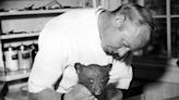 Celebrate Smokey Bear's 80th birthday in Capitan May 3