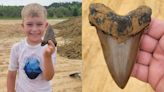 "Find of a Lifetime": 8-Year-Old Vacationing in South Carolina Discovers Giant Fossilized Shark Tooth