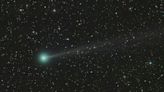 We may be the only humans to ever see the green Comet Nishimura. Here's how, when, and where to spot it best.