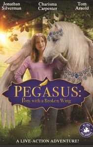 Pegasus: Pony with a Broken Wing