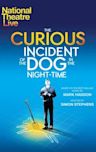 National Theatre Live: The Curious Incident of the Dog in the Night-Time