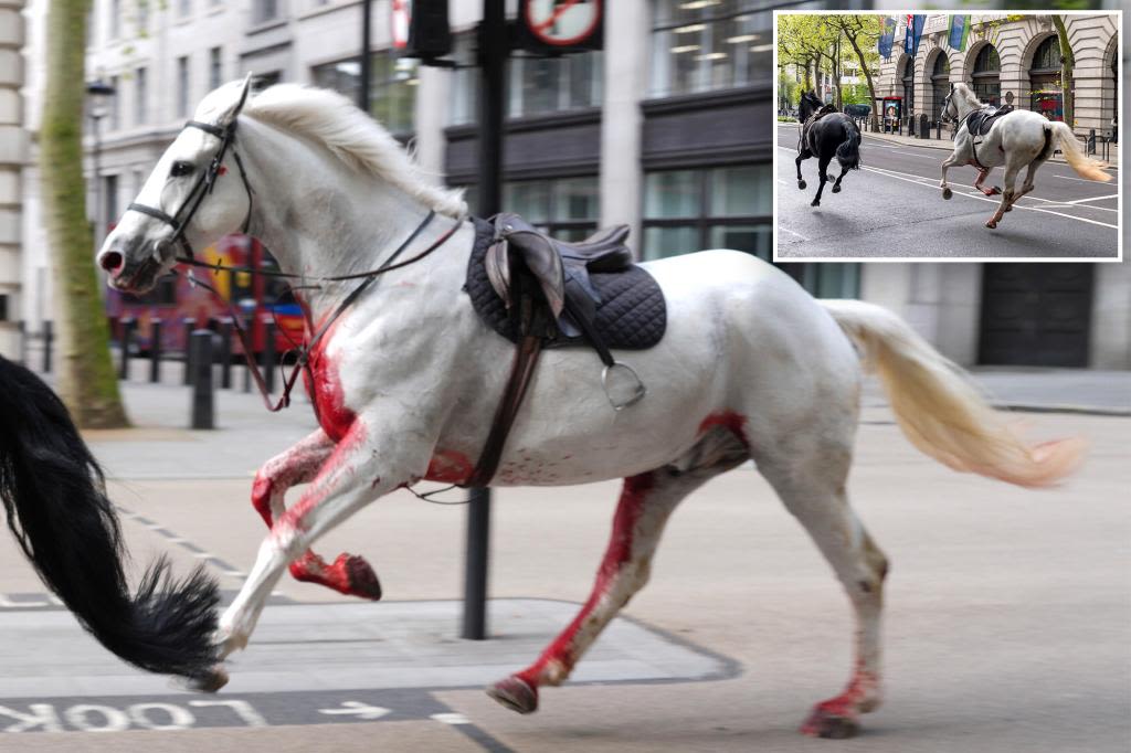 Blood-soaked military horses break free, injure 4 people while running amok near Buckingham Palace