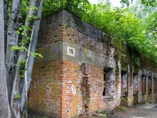 Wolfsschanze: Forscher entdecken Skelette im Haus von Hermann Göring