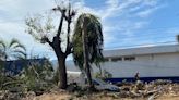 Rescatan a 70 chihuahuenses varados en Acapulco tras paso del huracán