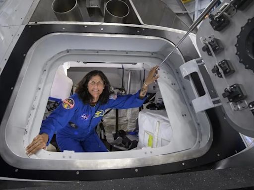 Gardening, vein scans & more: What Sunita Williams, stuck in space for 50 days, is up to?