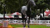 Saratoga Statues: Why Is Sea Hero In The Saratoga Paddock?