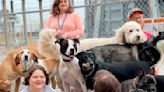 Ohio Dog Daycare Is a 'Happy Place' for Adults with Special Needs to Learn Life and Job Skills