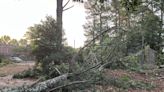 Power outage map: Thousands in Georgia, Michigan in the dark; over 300,000 outages across US