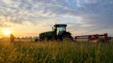 «Landwirtschaft.de»: Wissen über das Essen auf dem Teller