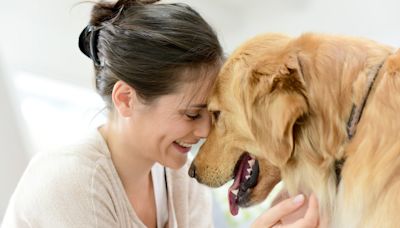 Día del Animal: ¿por qué se celebra hoy en la Argentina?