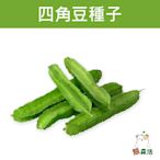 ～全館滿790免運～四角豆種子(翼豆、楊桃豆)Four Angled Bean【熊森活】