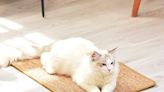 This Cat Scratching Mat Saves Your Carpets & Is So Much More Attractive Than Traditional Scratching Posts