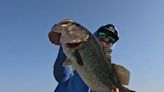 Freshwater fishing: Bass are schooling at several spots around Polk County