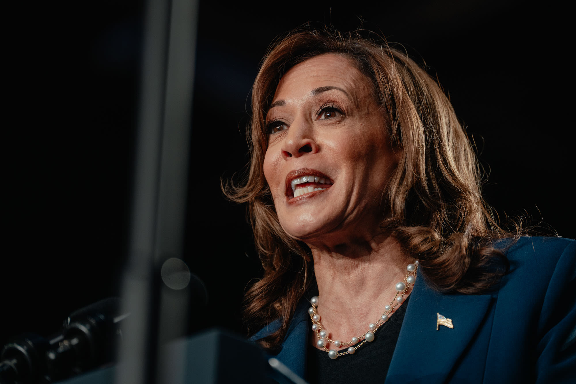 Harris gets New York Dems back on track